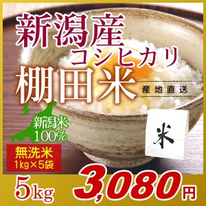 お米 5kg 無洗米 棚田米 新潟産コシヒカリ (1kg×5袋) エコ梱包 令和5年産 新米   1kg小分け 米 高級銘柄米 新潟米 ブランド米 新潟 新潟