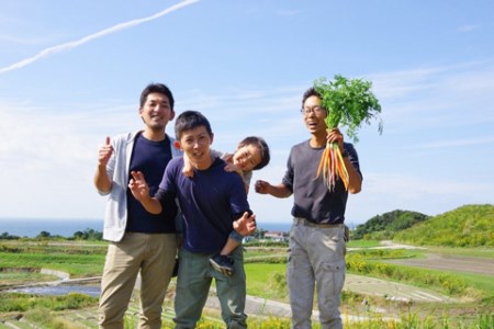 彩り野菜と香るハーブセット　１２回お届けセット