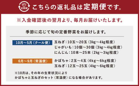 定番野菜セット定期便 どっさり！約10kg×6回コース じゃがいも 玉ねぎ にんじん かぼちゃ