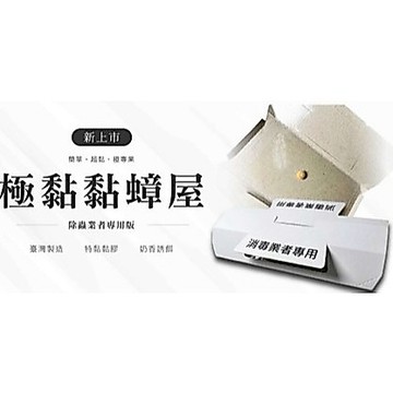 黏蟑屋 防治蟑螂 奶香誘餌 特黏黏膠 專業除蟲業者常用款 特殊配方調製 10入
