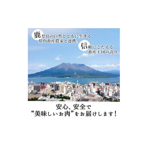 ふるさと納税 鹿児島県 志布志市 b0-116 鹿児島黒牛サーロインステーキ2枚セット 計400g