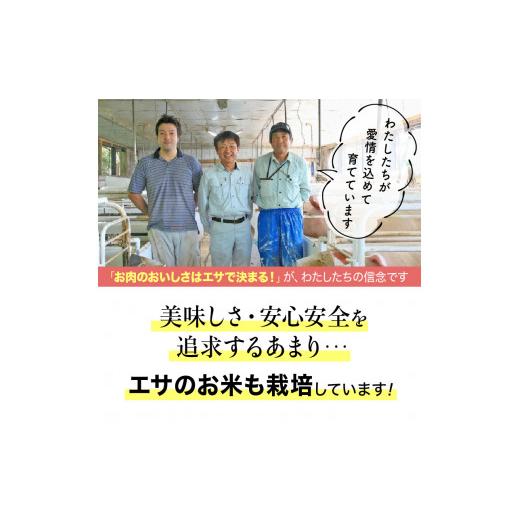 ふるさと納税 長崎県 諫早市 『定期便』_諫美豚(かんびとん)おすすめバラエティセット3kg_全5回