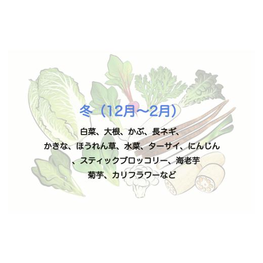 ふるさと納税 静岡県 南伊豆町 湯の花 旬の野菜セット1年間の定期便
