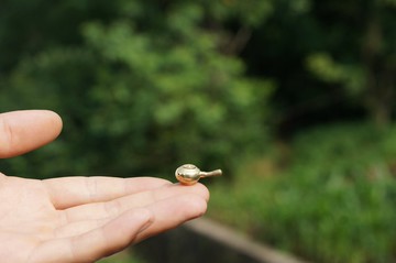 黃銅迷你茶壺茶盤香插香立香座袖珍小擺件