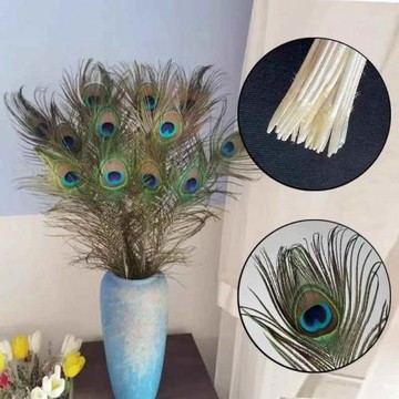 孔雀羽毛25-100cm孔雀翎尾飾品配件羽毛家用擺件diy花瓶裝飾