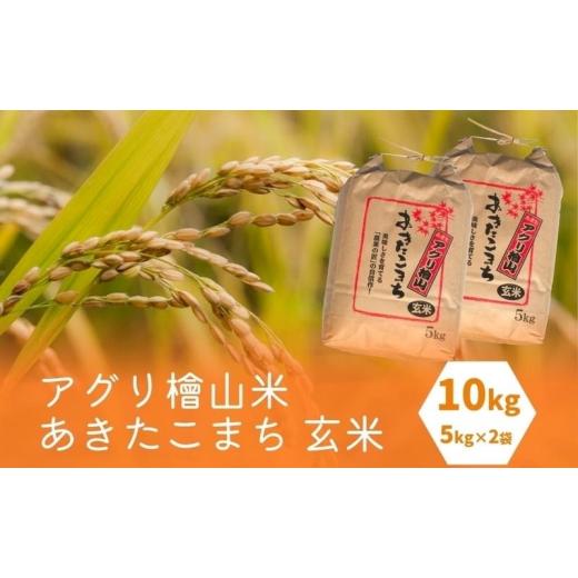 ふるさと納税 秋田県 能代市 秋田県産 あきたこまち 10kg (5kg×2袋) アグリ檜山米 令和5年産