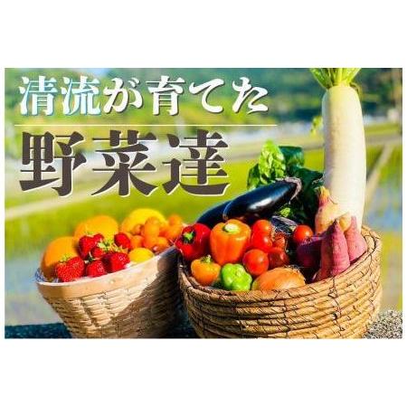 ふるさと納税 高知の新鮮野菜セット／旬の野菜を味わうお試し便 高知県高知市