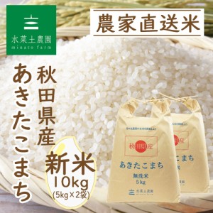 新米 令和5年産 米 お米 無洗米 10kg (5kg×2袋) 秋田県産 あきたこまち