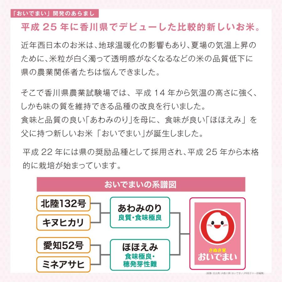 米10kg 米 お米 10kg 白米 送料無料 おいでまい 香川県産 安い 米5kg×2 こめ 米10キロ お米10キロ 10キロ お米10kg 精米 単一原料米 令和5年産 新米 応援 高級