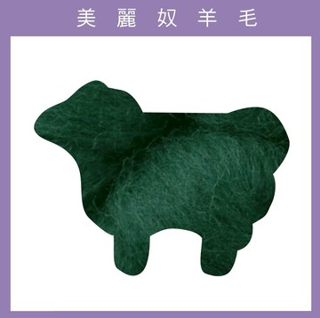 紐西蘭ASHFORD-美麗奴羊毛 M05茶綠色｜50g｜DIY手作/羊毛氈材料/文創