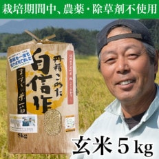 玄米 農薬不使用(栽培期間中)  福岡県芦屋町産コシヒカリ 〈玄米〉5kg