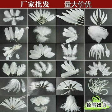 台灣免運12H🔥diy手工羽 毛白色羽毛 鵝毛火羽毛 婚慶裝飾飾品配件服裝輔料 SEU1HBDSIUKJ0