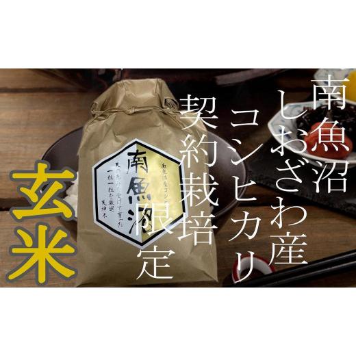 ふるさと納税 新潟県 南魚沼市 ●玄米● 生産者限定 南魚沼しおざわ産コシヒカリ