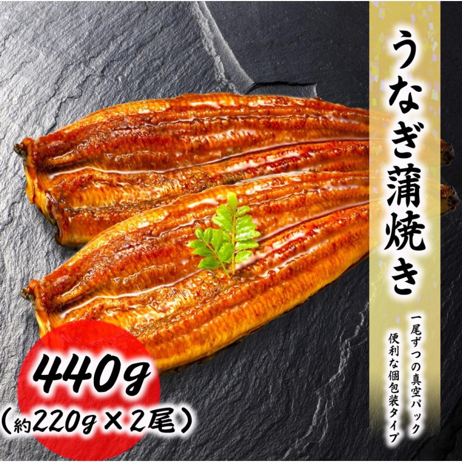 うなぎ蒲焼 2尾セット（約440g） 約220g 1尾 料理店でも使われる一品 真空処理済み お取り寄せ 食品 冷凍便 プロ愛用 業務用