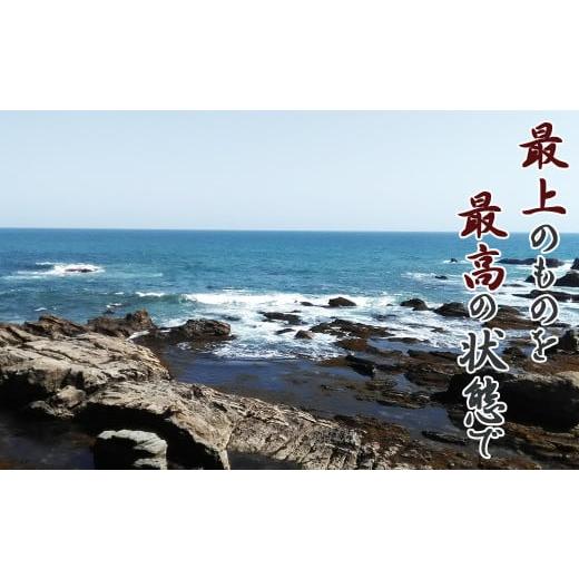 ふるさと納税 千葉県 鴨川市 天然 房州産！活き伊勢えび １kg（約４〜６尾）　[0050-0088]