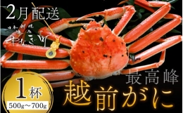 ＜2月発送分＞蟹好きにおすすめ！老舗カニ専門店の「越前ずわいがに」(500g～700g) [F-085032]