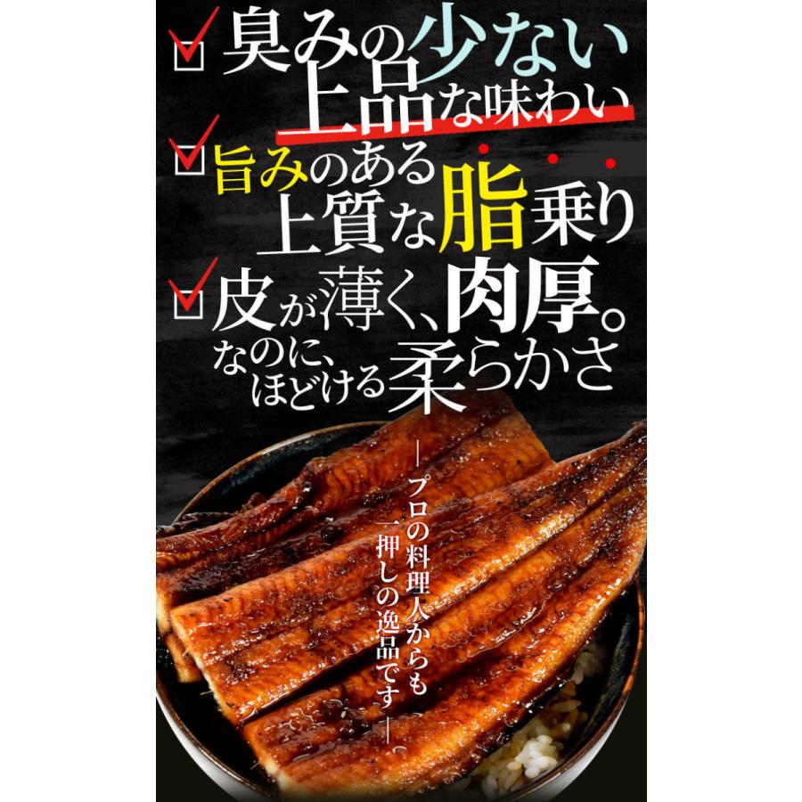 うなぎ 伊勢志摩産 たれ 特大サイズ ２尾 たれ付 送料無料 国産 ウナギ 鰻 蒲焼き 丑の日 個包装 冷凍 化粧箱入 お歳暮 ギフト