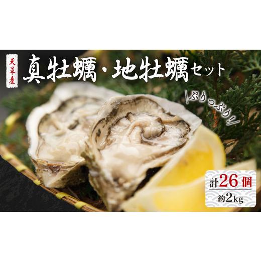 ふるさと納税 熊本県 上天草市 活き天草真牡蠣 10個 （加熱用） と 地牡蠣 16個 （加熱用） セット