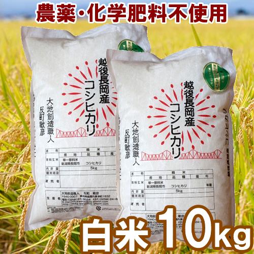 無農薬・化学肥料不使用　白米 10kg　大地創造職人