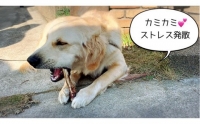 FB143 大型犬向け☆天然いのししのスモーク骨ガム3本全6回