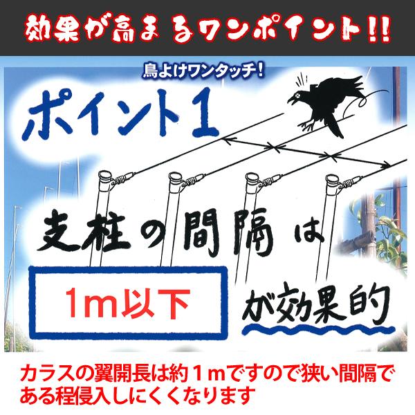 バネ付きワイヤーテンション金具 鳥よけワイヤー 鳥よけワンタッチ ビニールハウス 農業資材