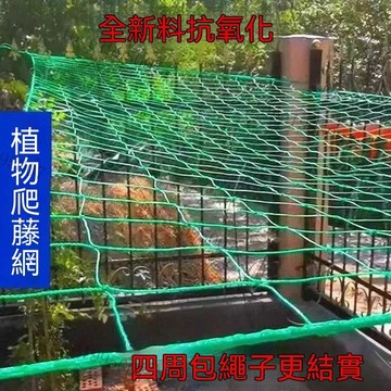 植物爬藤網百香果絲瓜吊瓜葡萄黃瓜花卉月季蔬果菊花攀爬網種植網 爬藤網 爬藤植物網 家庭園藝用網 園藝網 百香果爬藤網