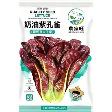 【原裝紫孔雀菜種子】 俗稱紫葉A菜 紫色大陸妹 葉萵苣 生菜種籽 盆栽 家庭菜園 陽台種植 可收成 四季易種 耐熱