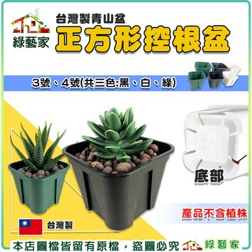 【綠藝家】台灣製青山盆 方形控根盆 3號、4號 多色可選 開根盆 育苗盆 種植盆 多肉盆 塑膠盆 觀葉盆