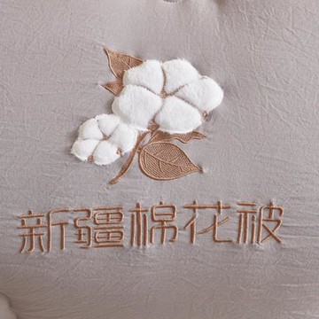 A類冬被新疆純棉花被子被芯棉被冬季加厚學生單人春秋棉絮被褥子