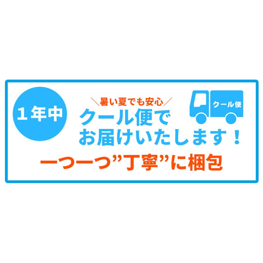 野菜セット 九州産 12品目 詰め合わせ 国産 お試し