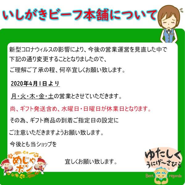 あぐー豚 しゃぶしゃぶ セット600g 幻のアグー豚  ギフト 沖縄 お土産 ja沖縄 いしがきビーフ本舗