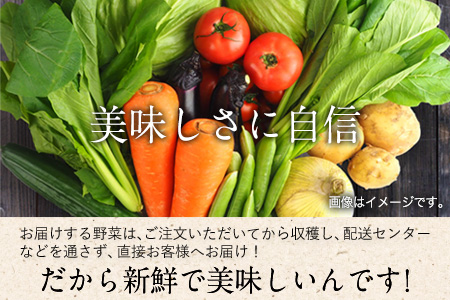 ★定期便 月1回 6ヶ月(計6回コース)★ 旬の新鮮野菜たっぷり16品セット★御船町産を中心とした旬の野菜セット 冷蔵 詰め合わせ 季節の野菜 安心・安全の野菜セット《お申込み月の翌月から出荷開始》