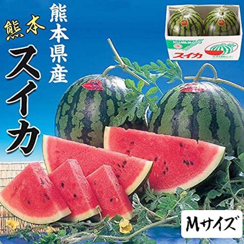 すいか スイカ 熊本県産 1箱 4.5kg×2玉 高級すいか 等級：秀(赤)｜化粧箱入り 贈答用 高級西瓜 プレゼント 果物 敬老の日 希少