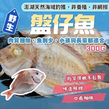 【漁讚】澎湖海釣野生盤仔魚 盤仔 海釣限定 肉質鮮甜 魬鯛 紅盤 盤子魚 野生盤仔魚 海釣盤仔魚 野生鮮魚 海釣鮮魚
