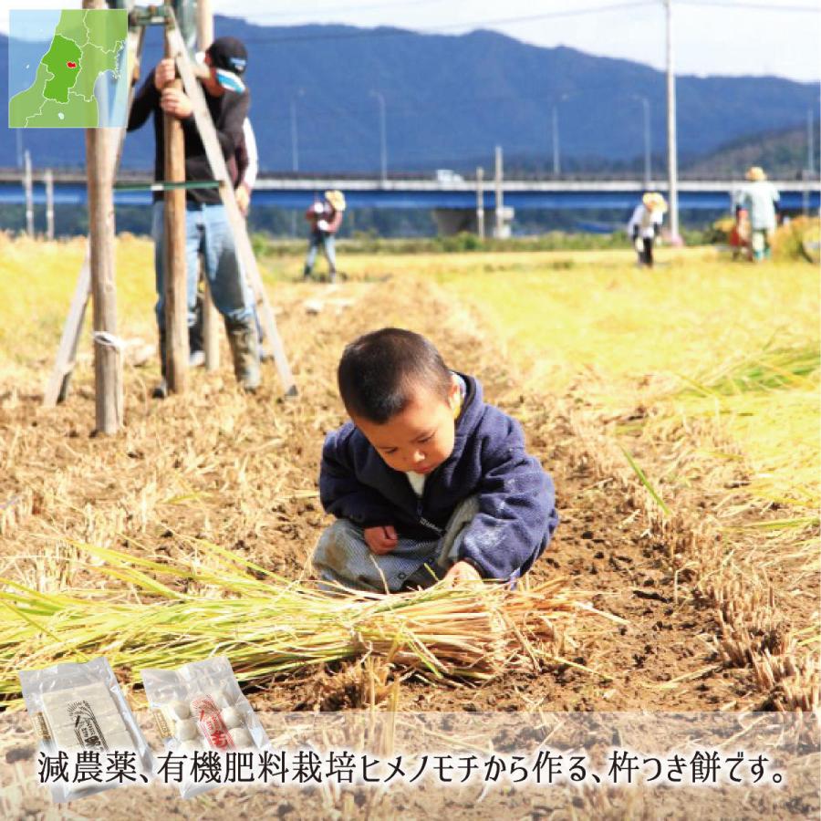 杵つき餅 1.8kg(角餅20枚 丸餅24玉) 無添加 手搗き手握り 山形県村山市産 減農薬 ヒメノモチ 11月下旬〜2月中旬 送料無料