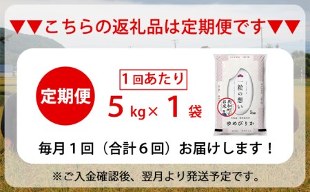 令和5年産  定期便 6ヵ月連続お届け ゆめぴりか 5kg 精米 北海道 共和町