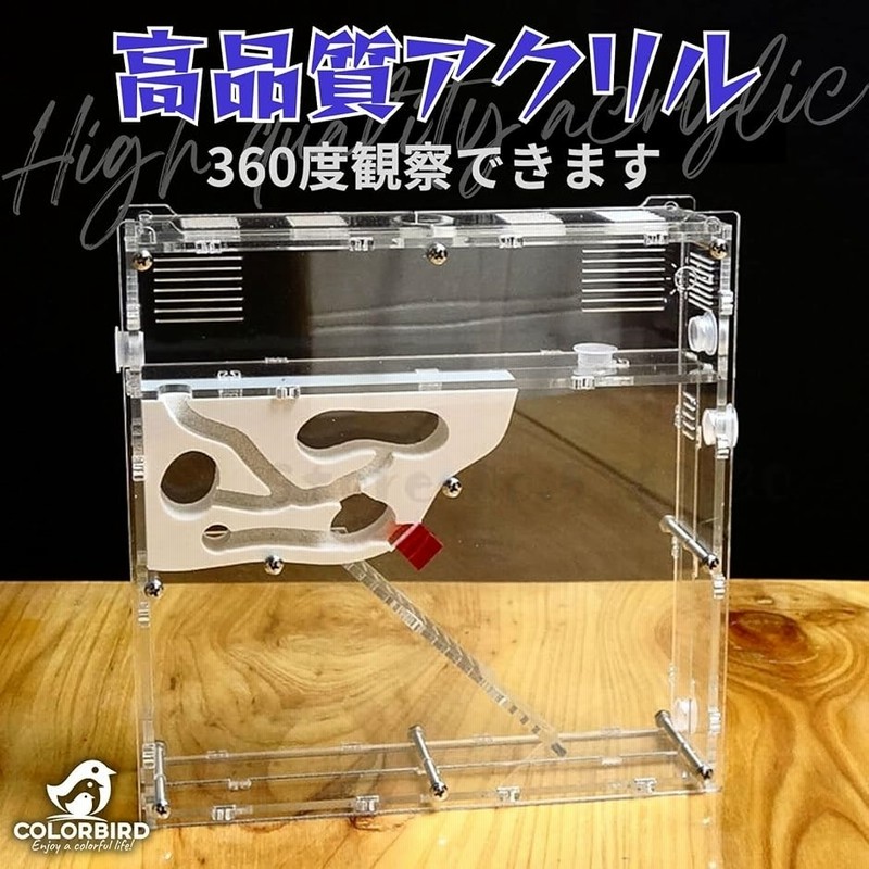 アリ飼育ケース(アリマンション)【アリの巣】 Amazon.co.jp: アリの巣 アリの巣 蟻 飼育ケース アリ飼育キット