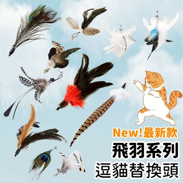 【喵星】逗貓替換頭｜飛羽系列 公雞 孔雀 羽毛 逗貓棒 貓咪玩具 逗貓玩具 逗貓桿 逗貓替換頭
