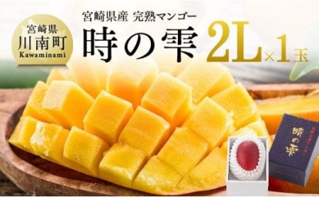 令和６年産 宮崎県産完熟マンゴー「時の雫」2L×1玉