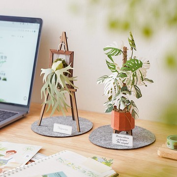 紙植栽模型【DIY材料包】白斑龜背芋.鹿角蕨.紙風景
