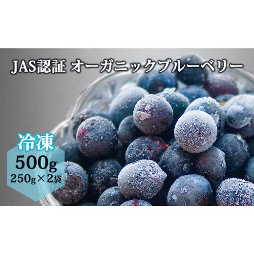 ふるさと納税 熊本県 阿蘇市 有機JAS認証オーガニックブルーベリー 500g