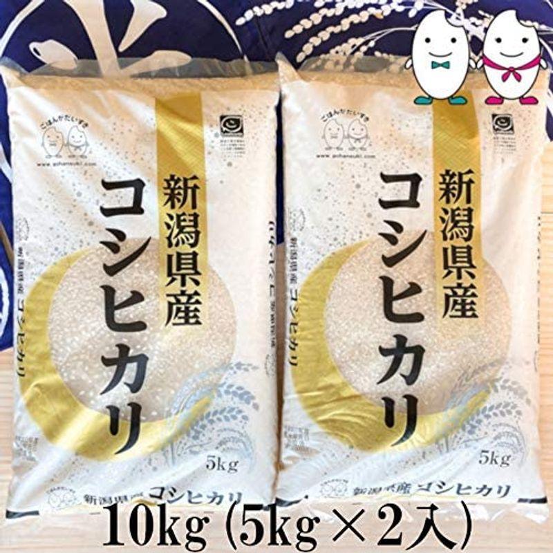 お米 新潟県産コシヒカリ 10kg（5kg×2） 令和4年産