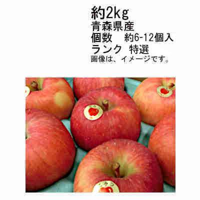 送料無料 予約 12月上旬-中旬発送 着日指定不可 こみつ りんご 青森県産 約2kg 個数6-13玉 ランク 特撰