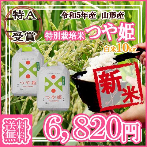 令和5年産 新米 送料無料 山形県産 つや姫 白米 5kg×2 十キロ お米 10キロ おこめ 白米 はくまい 10kg