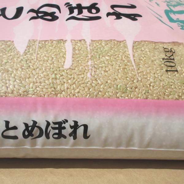 お米 10kg ひとめぼれ 玄米 山形県 庄内 10kg×1袋 5年度産 新米