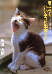  写真集　きょうも、いいネコに出会えた ニッポンの猫写真集／岩合光昭