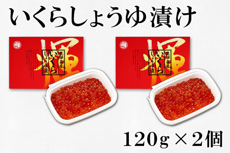 大粒ほたて貝柱250g×1 いくらしょうゆ漬け120g×2 昆布味明太子120g×2 丸鮮道場水産 小分け 食べ切り 食べきり 北海道