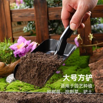 🔥桃園出貨🔥居家好物半圓形鏟子園藝鏟子剷土花盆專用沙灘趕海移植種花挖土鏟園藝工具
