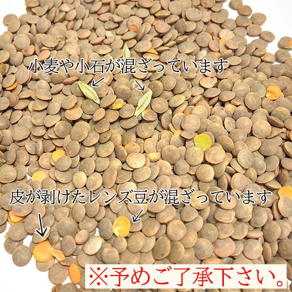 レンズ豆 皮付き 5kg 送料無料 ヒラマメ ブラウンレンティルマスールダールSabut Masoor Dal Whole