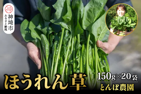 ほうれん草 約3kg（150g x 20袋）(H091109)